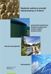 Obrazek Badanie sektora energii odnawialnej w Polsce