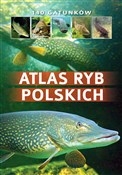 Polnische buch : Atlas ryb ... - Bogdan Wziątek, Łukasz Kolasa