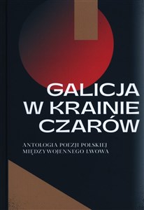 Bild von Galicja w krainie czarów Antologia poezji polskiej międzywojennego Lwowa