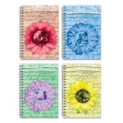 Polnische buch : Brulion B5...