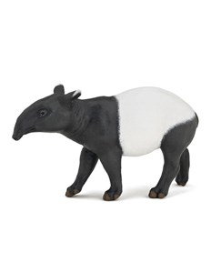 Bild von Tapir