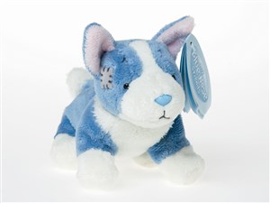 Obrazek Pies Corgi niebieski nosek