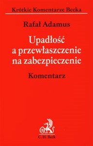 Obrazek Upadłość a przewłaszczenie na zabezpieczenie Komentarz