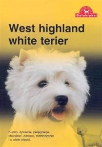 Bild von West highland white terier