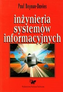 Obrazek Inżynieria systemów informacyjnych Wprowadzenie