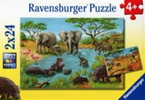 Obrazek Puzzle Dzika natura 2x24