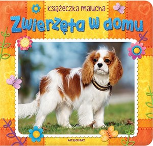 Obrazek Zwierzęta w domu Książeczka malucha