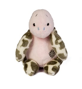 Bild von Żółw morski niebieski nosek