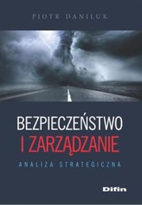 Obrazek Bezpieczeństwo i zarządzanie Analiza strategiczna