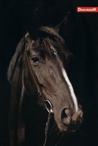 Obrazek Brulion B5 w kratkę160 kartek Koń 3 sztuki