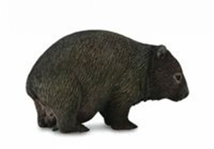 Obrazek Wombat M