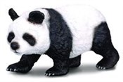 Polnische buch : Panda wiel...