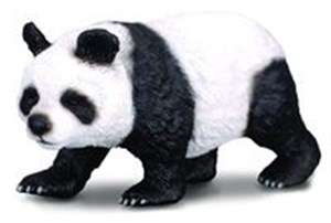 Bild von Panda wielka L