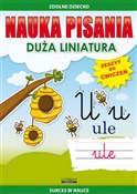 Polnische buch : Nauka pisa... - Beata Guzowska