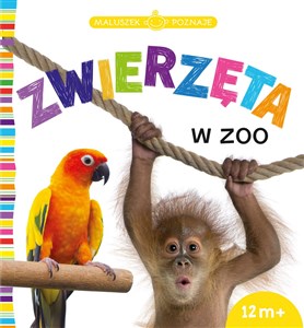 Bild von Maluszek poznaje Zwierzęta w zoo