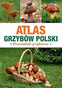 Obrazek Atlas grzybów Polski Przewodnik grzybiarza