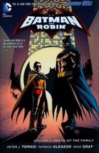 Bild von Batman & Robin Vol. 3