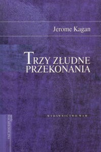 Obrazek Trzy złudne przekonania