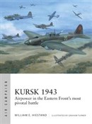 Polska książka : Taczka mis... - William E. Hiestand