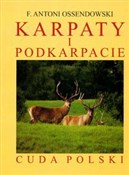 Polnische buch : Karpaty i ... - Antoni Ferdynand Ossendowski