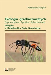 Bild von Ekologia grzebaczowatych (Hymenoptera, Apoidea, Spheciformes) odłogów w Kampinowskim Parku Narodowym