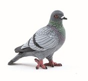 Gołąb 40x4... -  fremdsprachige bücher polnisch 