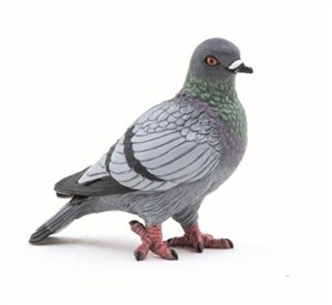 Obrazek Gołąb 40x42mm