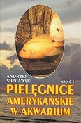 Pielęgnice... - Andrzej Sieniawski -  fremdsprachige bücher polnisch 
