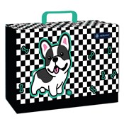 Polnische buch : Teczka z r...