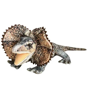 Obrazek Agama 65cm