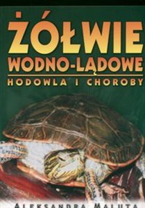 Obrazek Żółwie wodno-lądowe Hodowla i choroby