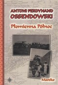 Książka : Płomienna ... - Antoni Ferdynand Ossendowski