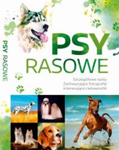 Bild von Psy Rasowe /SBM