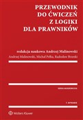 Przewodnik... - Radosław Brzeski, Andrzej Malinowski, Michał Pełka -  fremdsprachige bücher polnisch 