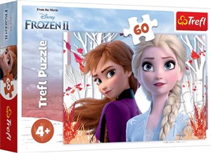 Bild von Puzzle 60 Frozen 2 Zaczarowany świat Anny i Elsy