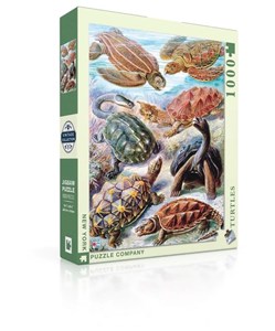 Obrazek Puzzle 1000 Żółwie