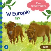 W Europie ... - Ewa Stadtmuller - buch auf polnisch 
