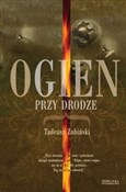 Ogień przy... - Tadeusz Zubiński - buch auf polnisch 
