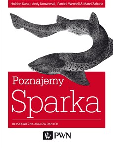 Obrazek Poznajemy Sparka Błyskawiczna analiza danych