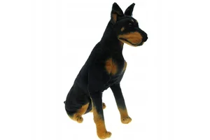 Obrazek Doberman 65cm