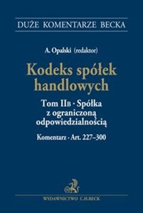 Obrazek Kodeks spółek handlowych Tom II B Spółka