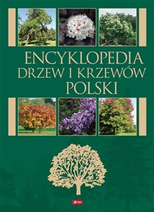 Obrazek Encyklopedia drzew i krzewów
