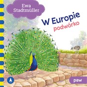 W Europie ... - Ewa Stadtmuller -  polnische Bücher