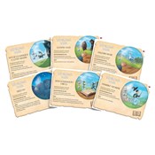 Wędrujące ... -  Książka z wysyłką do Niemiec 