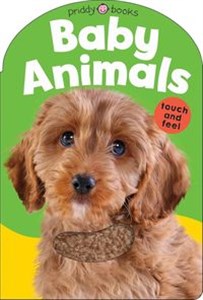Obrazek Baby Animals