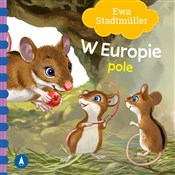 Polnische buch : W Europie ... - Ewa Stadtmuller