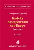 Polska książka : Kodeks pos... - Andrzej Zieliński, Kinga Flaga-Gieruszyńska