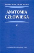 Polska książka : Anatomia c... - Adam Bochenek, Michał Reicher