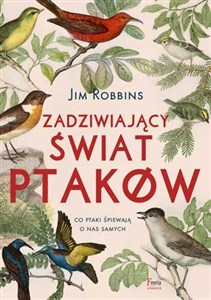 Bild von Zadziwiający świat ptaków