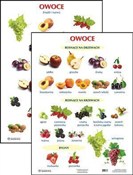 Plansza Ow... - buch auf polnisch 